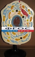 Модель "Клетка животного" - fgospostavki.ru - Златоуст