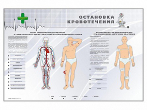 Электрифицированный стенд "Остановка кровотечения" - fgospostavki.ru - Златоуст