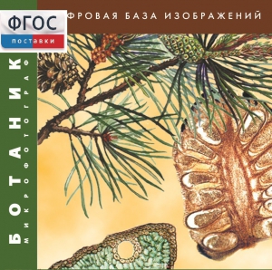 Ботаника. Микрофотографии. (Цифровая база изображений) - fgospostavki.ru - Златоуст