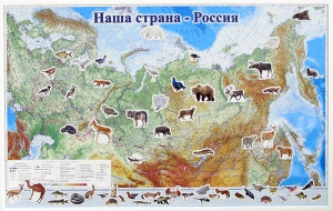 Магнитные карточки "Животные" - fgospostavki.ru - Златоуст