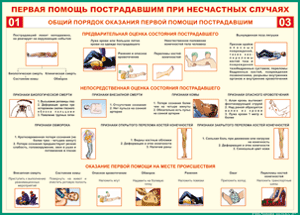Таблица "Общий порядок оказания первой помощи пострадавшим" (100х140 сантиметров, винил) - fgospostavki.ru - Златоуст