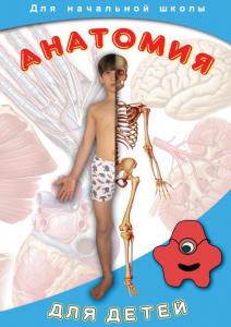 DVD "Анатомия для детей" - fgospostavki.ru - Златоуст