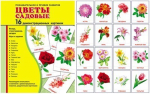 Демонстрационные карточки "Цветы садовые" - fgospostavki.ru - Златоуст