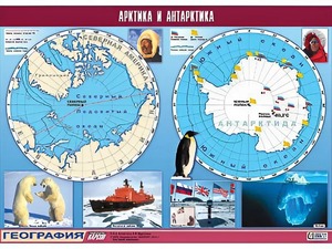 Таблица демонстрационная "Арктика и Антарктика" (винил 100*140) - fgospostavki.ru - Златоуст