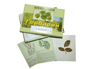 Гербарий "Дикорастущие растения" (30 видов, с иллюстрациями) - fgospostavki.ru - Златоуст