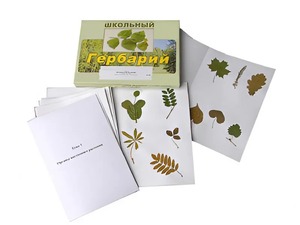 Гербарий "Морфология растений" (6 тем, 30 видов) - fgospostavki.ru - Златоуст