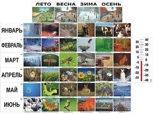 Фенологические наблюдения - fgospostavki.ru - Златоуст