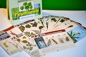 Гербарий к курсу основ общей биологии - fgospostavki.ru - Златоуст