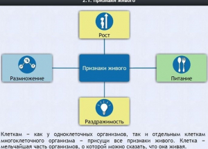 Интерактивные курсы. Биология 5 класс. Базовый - fgospostavki.ru - Златоуст