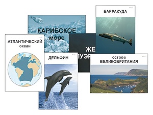 Модель-аппликация "Океаны. Знакомство" (ламинированная) - fgospostavki.ru - Златоуст