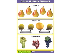 Таблица демонстрационная "Считаем, взвешиваем, сравниваем" (винил 70x100) - fgospostavki.ru - Златоуст