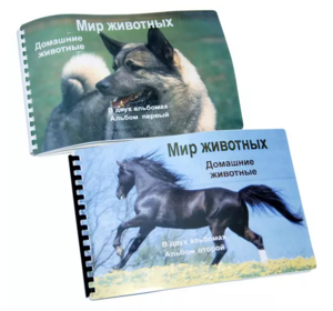 Пособие для слабовидящих - Домашние животные - fgospostavki.ru - Златоуст