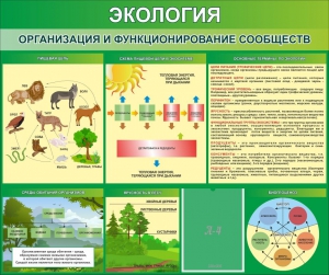 Стенд "Экология. Организация и функционирование сообществ" - fgospostavki.ru - Златоуст