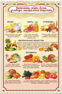 Стенд "Витамины, жиры, белки" - fgospostavki.ru - Златоуст