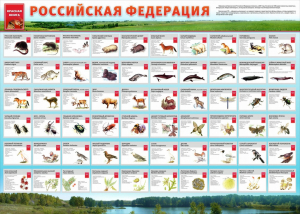 Стенд "Красная книга РФ" - fgospostavki.ru - Златоуст