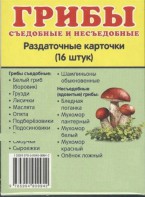 Раздаточные карточки "Грибы съедобные и не съедобные" - fgospostavki.ru - Златоуст