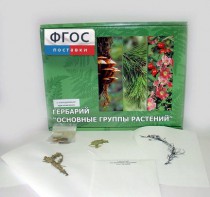 Гербарий "Основные группы растений" (52 листа) - fgospostavki.ru - Златоуст