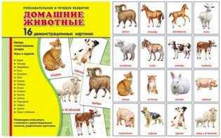 Демонстрационные карточки "Домашние животные" - fgospostavki.ru - Златоуст
