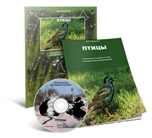 Электронное наглядное пособие «Птицы» - fgospostavki.ru - Златоуст