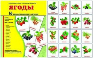 Демонстрационные карточки "Ягоды" - fgospostavki.ru - Златоуст