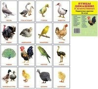 Раздаточные карточки "Птицы домашние и декоративные" - fgospostavki.ru - Златоуст