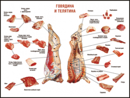Таблица "Правила разделки мясных туш. Говядина и телятина" (100х140 сантиметров, винил) - fgospostavki.ru - Златоуст
