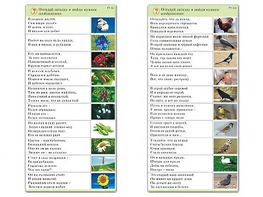 Комплект карточек (10) "Обучающий калейдоскоп. Природа" - fgospostavki.ru - Златоуст