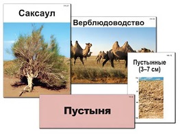 Модель-аппликация "Природные зоны России" (ламинированная) - fgospostavki.ru - Златоуст