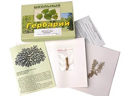 Гербарий "Водоросли. Грибы. Лишайники" (раздаточный) - fgospostavki.ru - Златоуст