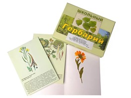 Гербарий "Систематика растений. Семейство Пасленовые. Крестоцветные. Сложноцветные" (раздаточный) - fgospostavki.ru - Златоуст