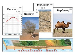 Модель-аппликация "Природные зоны" - fgospostavki.ru - Златоуст