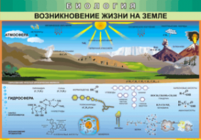 Таблица "Возникновение жизни на земле" (100х140 сантиметров, винил) - fgospostavki.ru - Златоуст