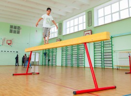 Бревно гимнастическое напольное постоянной высоты (700 мм) (5 м) - fgospostavki.ru - Златоуст