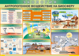 Таблица "Антропогенное воздействие на биосферу" (100х140 сантиметров, винил) - fgospostavki.ru - Златоуст
