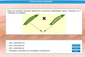 Интерактивные курсы. Биология 11 класс. Базовый. - fgospostavki.ru - Златоуст