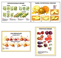 Плакаты ПРОФТЕХ "Ассортимент овощных культур" (12 пл, винил, 70х100) - fgospostavki.ru - Златоуст