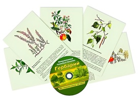 Интерактивный наглядный комплекс "Гербарий "Для начальной школы" - fgospostavki.ru - Златоуст