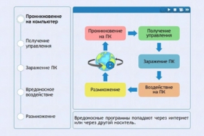 Интерактивные курсы. Информатика 10 класс . Базовый. - fgospostavki.ru - Златоуст