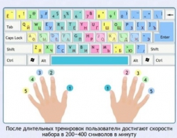 Интерактивные курсы. Информатика 7 класс . Базовый. - fgospostavki.ru - Златоуст