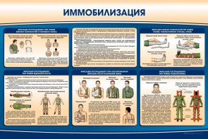 Стенд "Иммобилизация" - fgospostavki.ru - Златоуст
