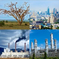 Модель-аппликация Биосфера и человек - fgospostavki.ru - Златоуст