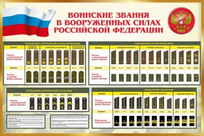 Стенд "Воинские звания в вооруженных силах РФ" - fgospostavki.ru - Златоуст