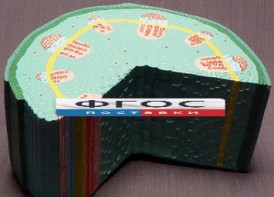 Модель "Стебель растения" - fgospostavki.ru - Златоуст