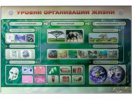Электрифицированный стенд "Уровни организации жизни" - fgospostavki.ru - Златоуст