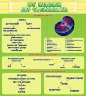 Стенд "От клетки до организма" - fgospostavki.ru - Златоуст